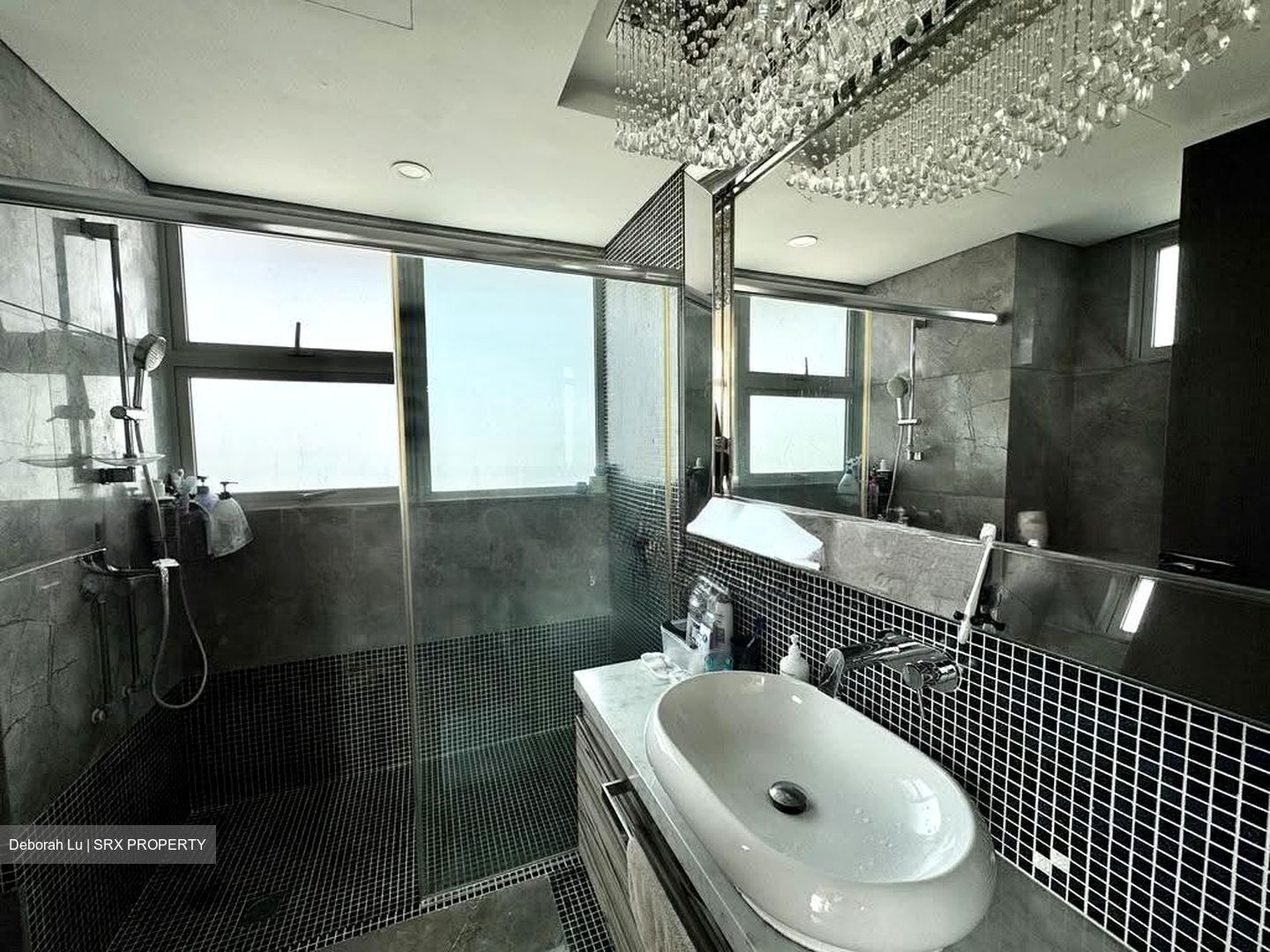 The Vision (D5), Condominium #609570641